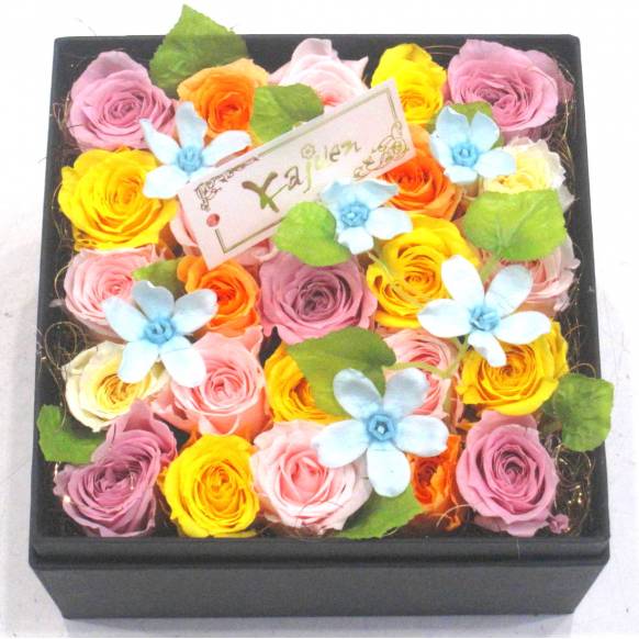 一般カテゴリー,《Preserved Flower》Pastel Box,花樹園
