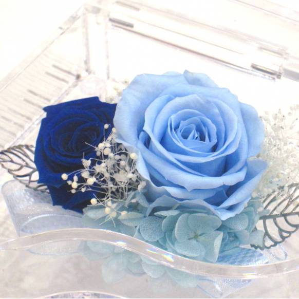 一般カテゴリー,《Preserved Flower》Acrylic Piano (Blue),花樹園