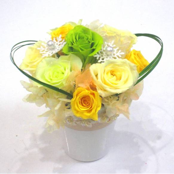 《Preserved Flower》Muscat Yellow一般カテゴリー