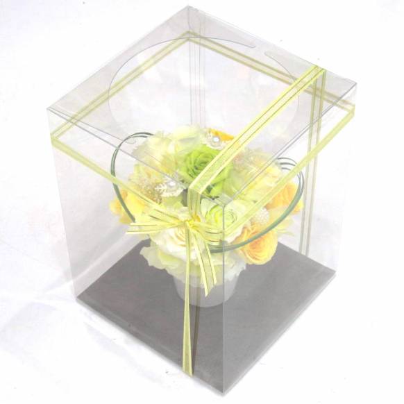 一般カテゴリー,《Preserved Flower》Muscat Yellow,花樹園