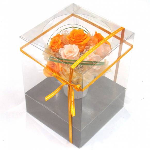 一般カテゴリー,《Preserved Flower》Orange Range,花樹園