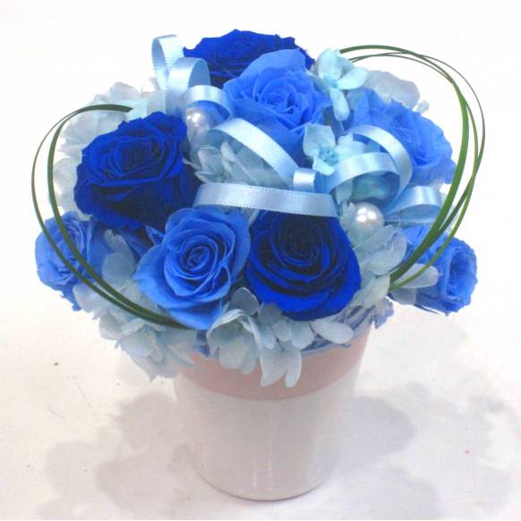 《Preserved Flower》Skyblue一般カテゴリー