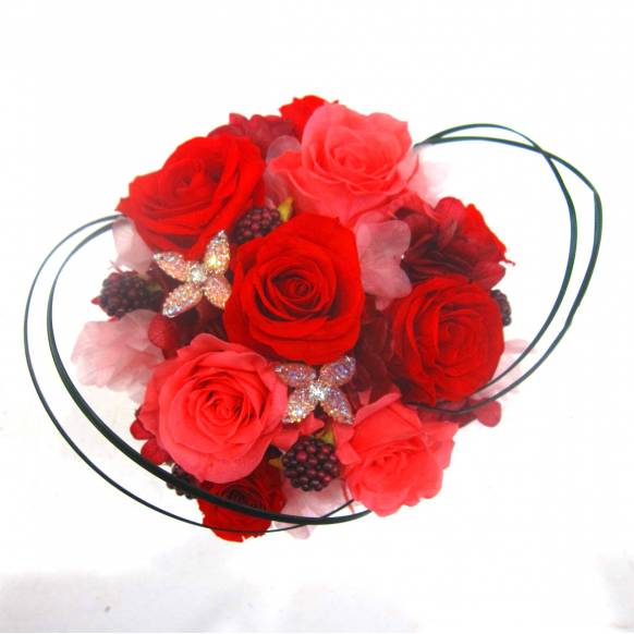 一般カテゴリー,《Preserved Flower》Jewel Red,花樹園