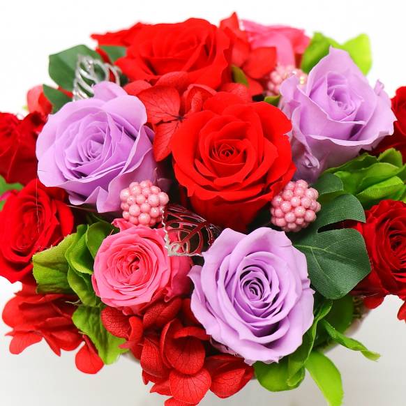 一般カテゴリー,《Preserved Flower》 Revolution,花樹園