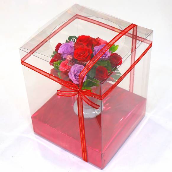 一般カテゴリー,《Preserved Flower》 Revolution,花樹園