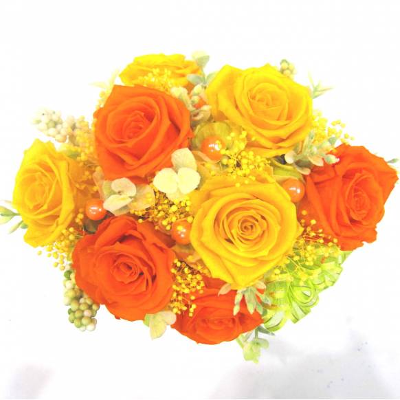 一般カテゴリー,《Preserved Flower》 Vivid colors,花樹園