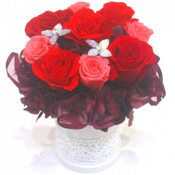 《Preserved Flower》Angel Red一般カテゴリー