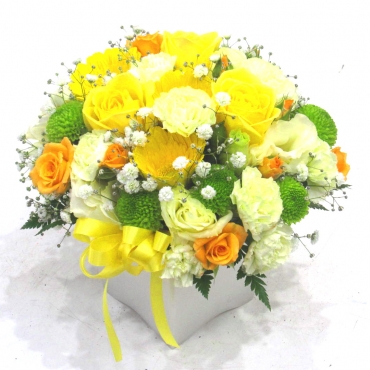 一般カテゴリー,《Flower arrangement》Colon Yellow,花樹園