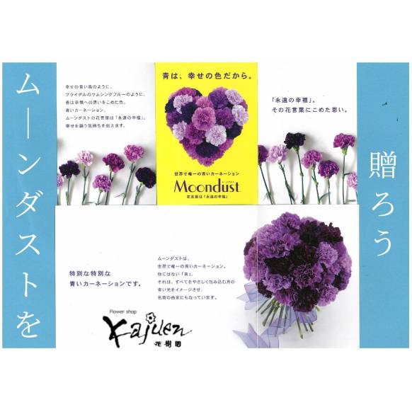 一般カテゴリー,《Flower arrangement》 Moondust,花樹園