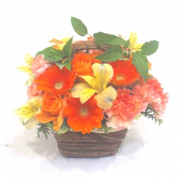 一般カテゴリー,《Flower arrangement》Fine Orange,花樹園
