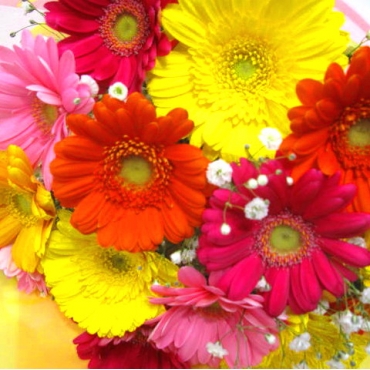 一般カテゴリー,《Bouquet》Gerbera Pastel Mix,花樹園