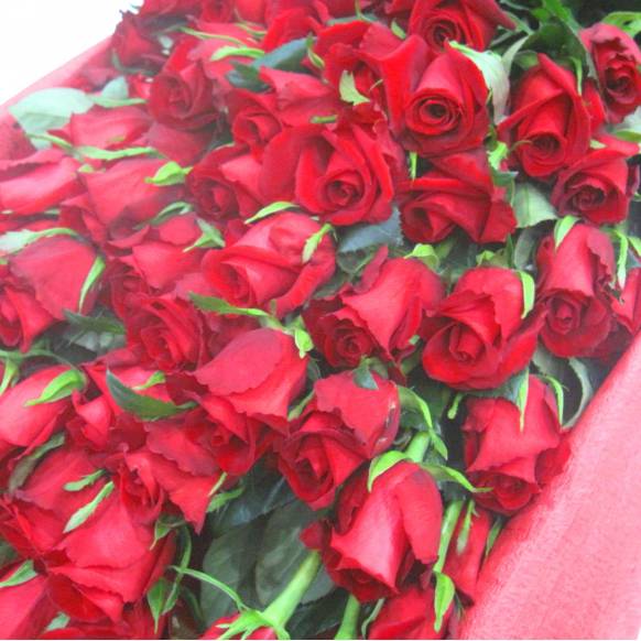 一般カテゴリー,《Bouquet》Premium Red Rose 60,花樹園