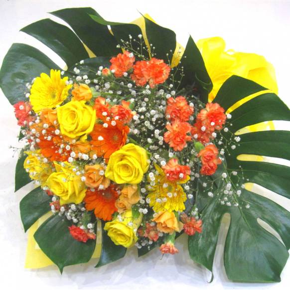 《Bouquet》Impact Cheer color一般カテゴリー