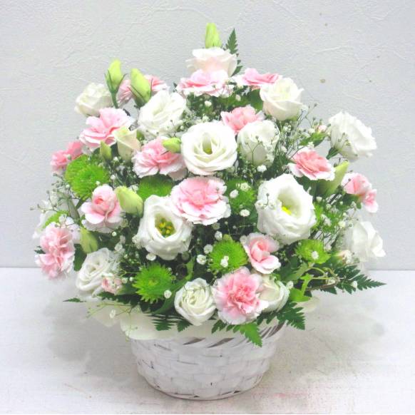 《Funal arrangement》FUWARI一般カテゴリー