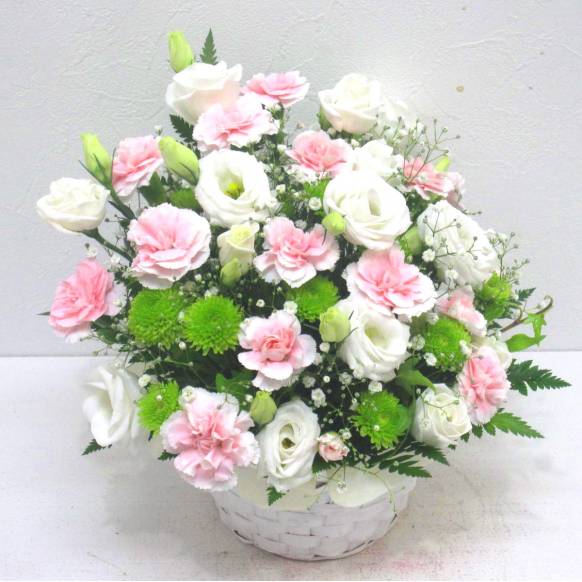 一般カテゴリー,《Funal arrangement》FUWARI,花樹園