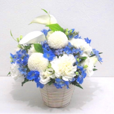 《Funal arrangement》Pompoms一般カテゴリー