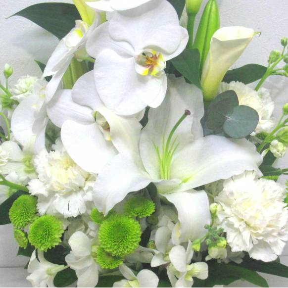 一般カテゴリー,《Funal arrangement》Feelings for the deceased,花樹園