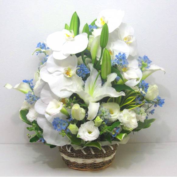 《Funal arrangement》Irreplaceable一般カテゴリー