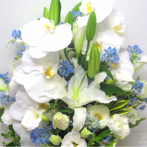 一般カテゴリー,《Funal arrangement》Irreplaceable,花樹園