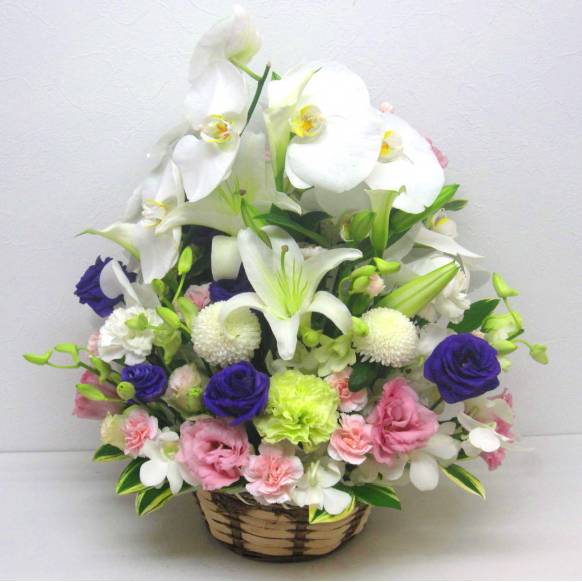 《Funal arrangement》Heart Feelings一般カテゴリー