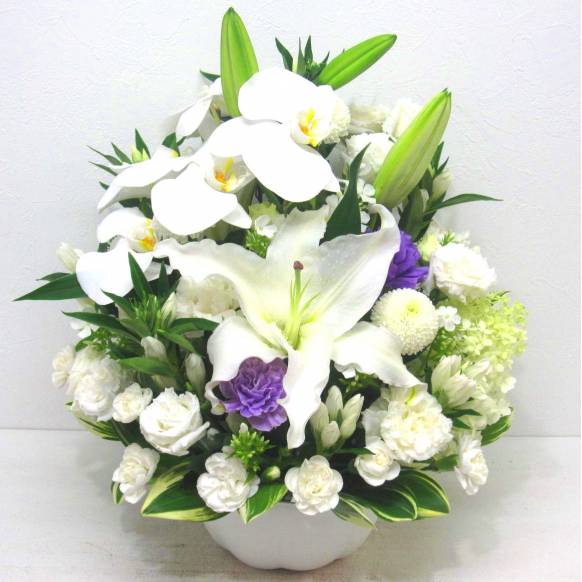 《Funal arrangement》Moonlight一般カテゴリー