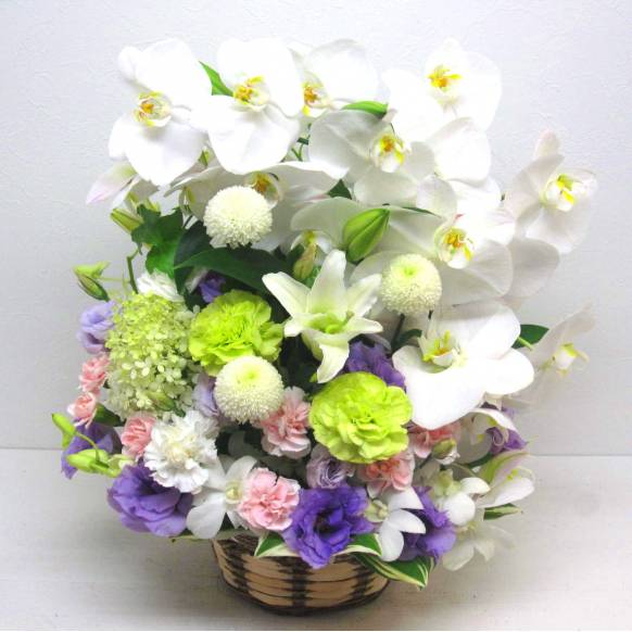 《Funal arrangement》Buddha一般カテゴリー