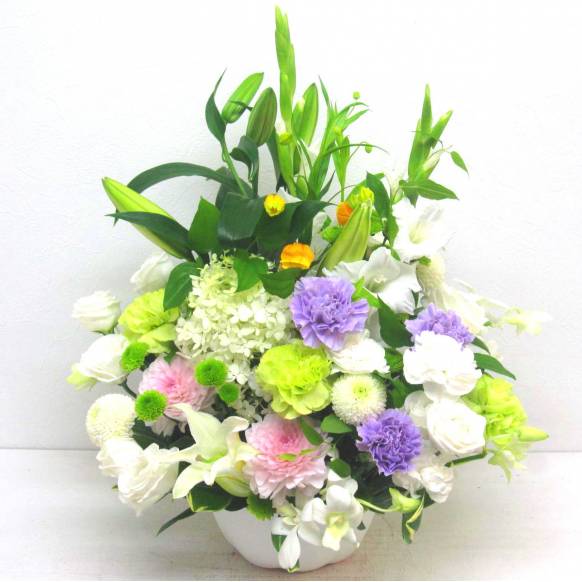 《Funal arrangement》They wrap up一般カテゴリー