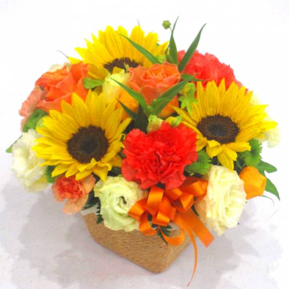 《Flower arrangement》Summer Vitamins 一般カテゴリー