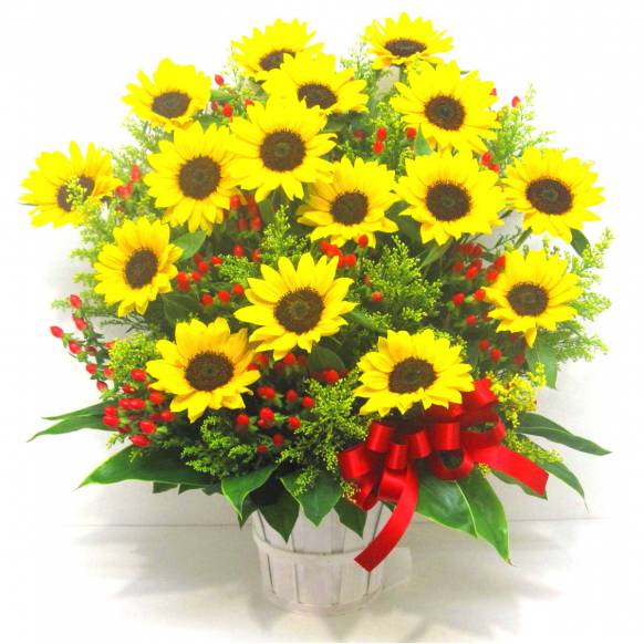 《Flower arrangement》Summer Wonderful Days一般カテゴリー