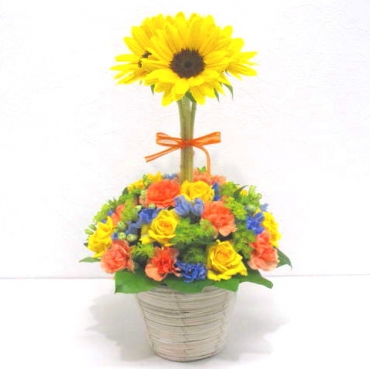 《Flower arrangement》Staring at you alone一般カテゴリー