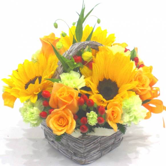 《Flower arrangement》Summer Eclair一般カテゴリー