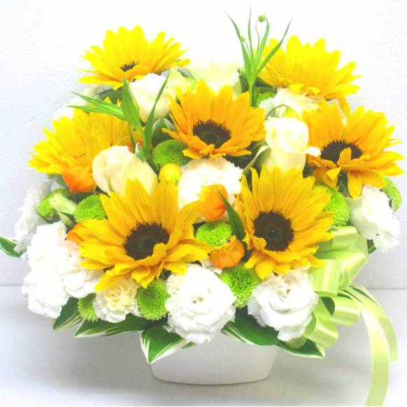 《Flower arrangement》Summer Clear一般カテゴリー