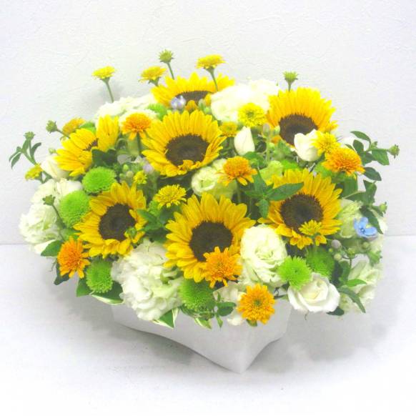 《Flower arrangement》Summer Hospitality一般カテゴリー