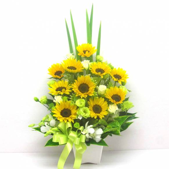 《Flower arrangement》Summer Natural一般カテゴリー