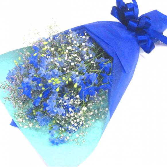 《Bouquet》Qingming一般カテゴリー