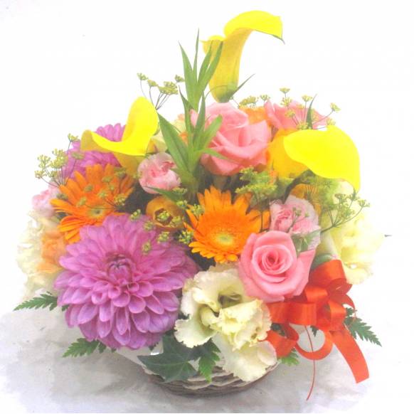 《Flower arrangement》Autumn Mix Colors一般カテゴリー