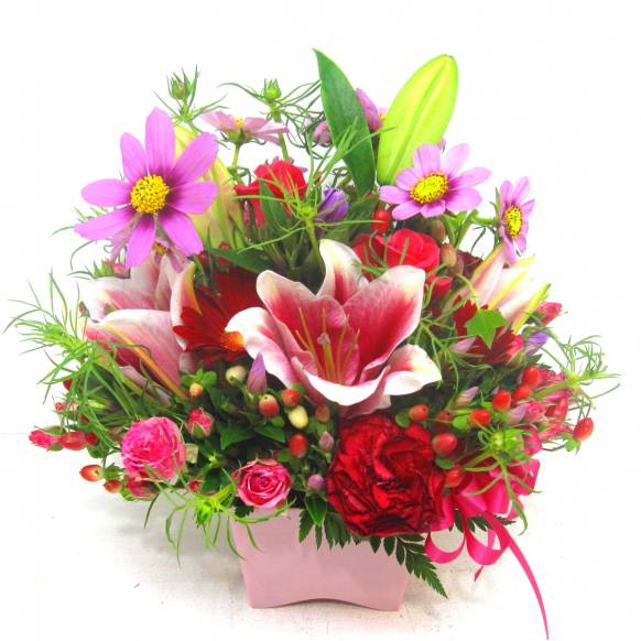 《Flower arrangement》Cosmos Autumn Wind一般カテゴリー