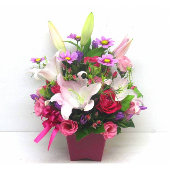 《Flower arrangement》Cosmos Autumn Days 一般カテゴリー
