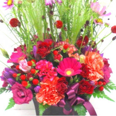 一般カテゴリー,《Flower arrangement》Cosmos Autumn Thoughts,花樹園