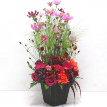 一般カテゴリー,《Flower arrangement》Cosmos Autumn Thoughts,花樹園