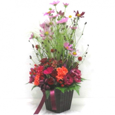 一般カテゴリー,《Flower arrangement》Cosmos Autumn Thoughts,花樹園