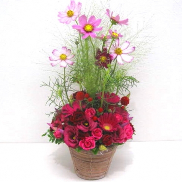《Flower arrangement》Cosmos Autumn Basket一般カテゴリー