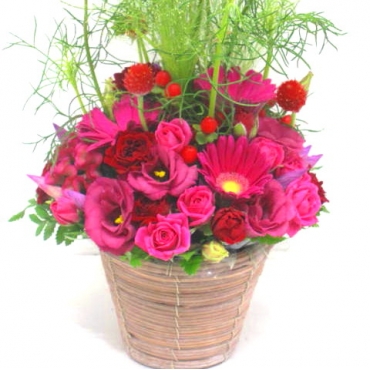 一般カテゴリー,《Flower arrangement》Cosmos Autumn Basket,花樹園