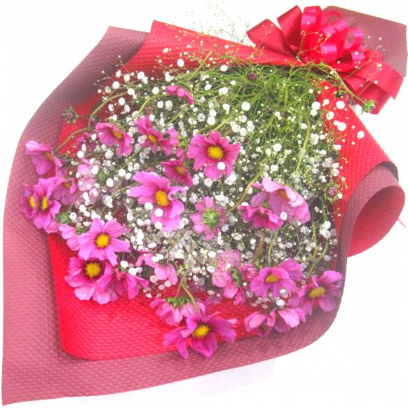 《Bouquet》Luxury Cosmos & Kasumi grass一般カテゴリー