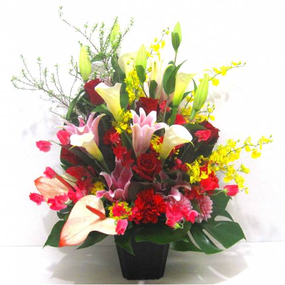 《Flower arrangement》Special Spring一般カテゴリー