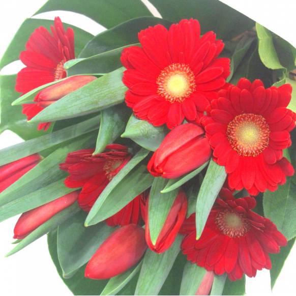 一般カテゴリー,《Bouquet》Spring Red,花樹園