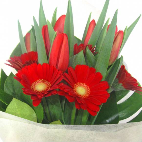 一般カテゴリー,《Bouquet》Spring Red,花樹園