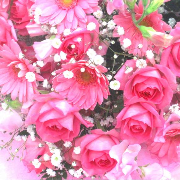 一般カテゴリー,《Bouquet》Spring Gradient pink,花樹園