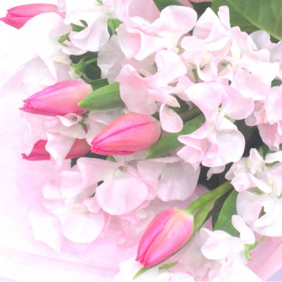 一般カテゴリー,《Bouquet》Spring Feminine pink,花樹園