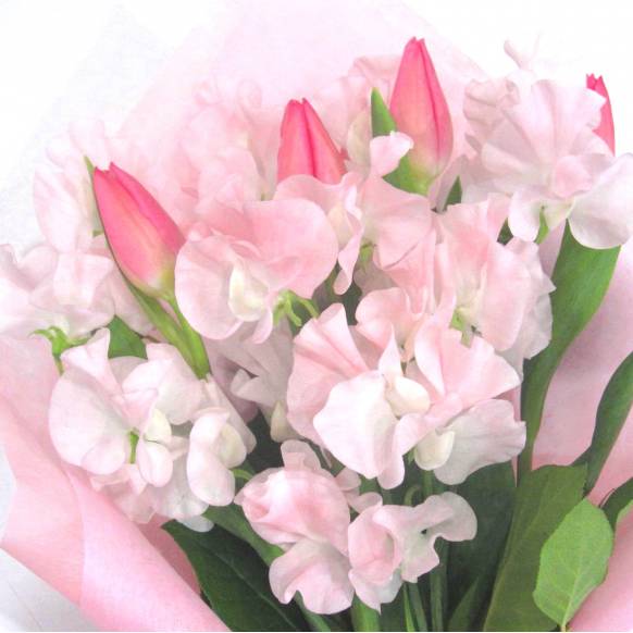 一般カテゴリー,《Bouquet》Spring Feminine pink,花樹園